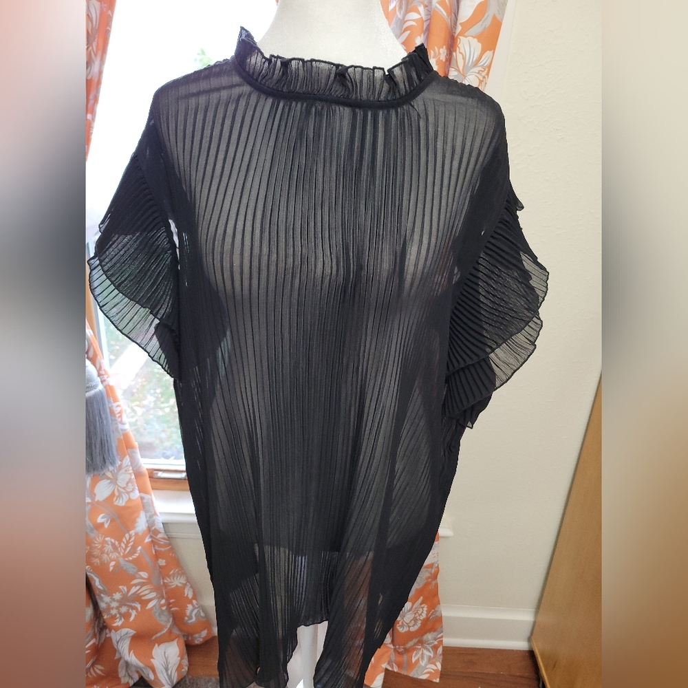 Elegant Black Pleated Semi Sheer Women's Top